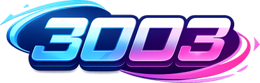3003